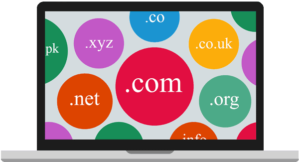 Domain Name Registration